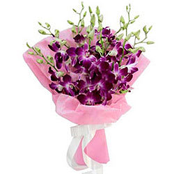Everlasting Sunshine Orchid Delight Bunch Everlasting Sunshine Orchid Delight Bunch