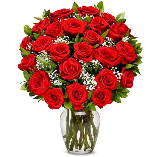 Splendid Red Roses in a Glass Vase Splendid Red Roses in a Glass Vase