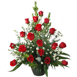 Aromatic Selection of 18 Red Roses in a Basket Aromatic Selection of 18 Red Roses in a Basket