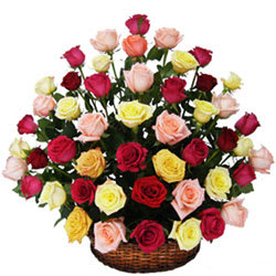 Divine Basket of Mixed Coloured Roses Divine Basket of Mixed Coloured Roses