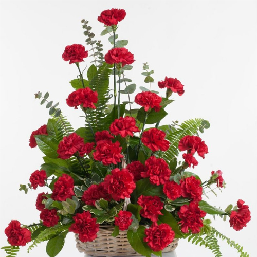 Special Arrangement of Red Carnations Special Arrangement of Red Carnations