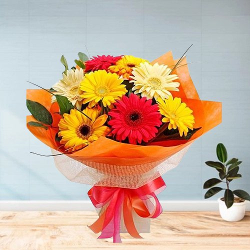 Charming Gerberas Bouquet Charming Gerberas Bouquet
