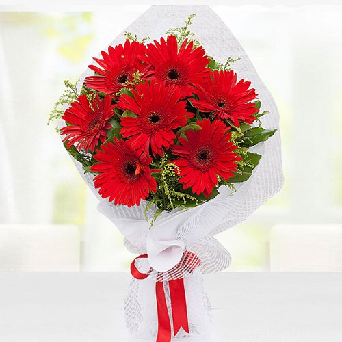 Bright Red Gerberas Bouquet Bright Red Gerberas Bouquet