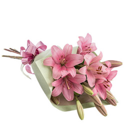 Elegant Bouquet of Lilies Elegant Bouquet of Lilies