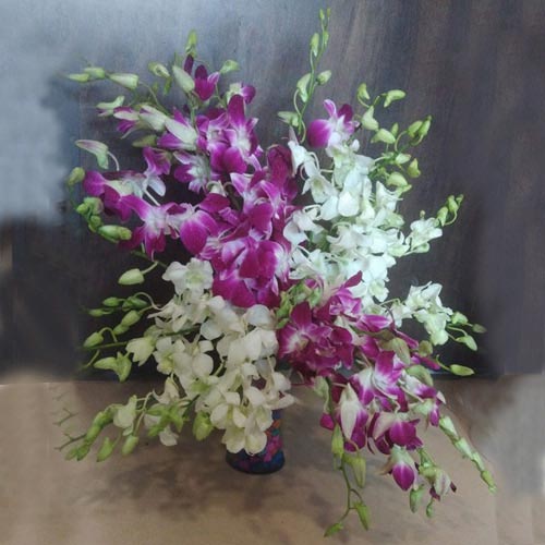 Lovely White N Purple Orchids in Glass Vase Lovely White N Purple Orchids in Glass Vase