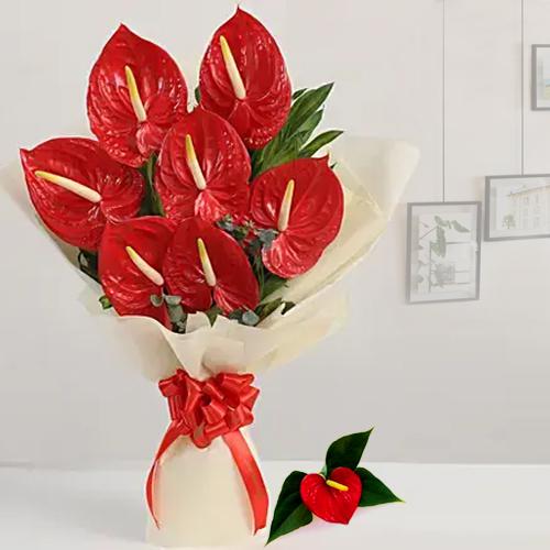 Beautiful Bouquet of Red Anthodium with Tissue Wrap