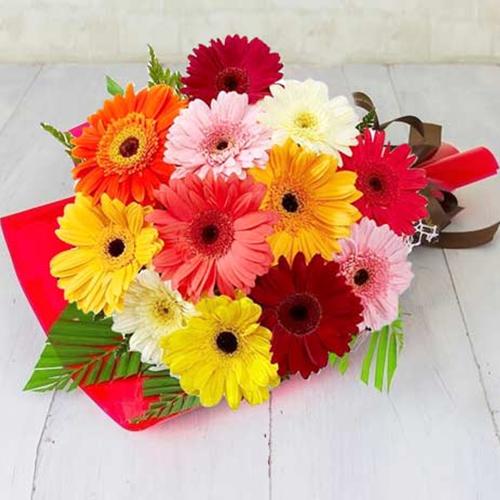 Bouquet of lovely Mixed Gerberas Bouquet of lovely Mixed Gerberas