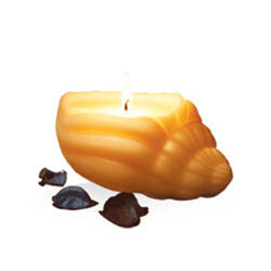 Exclusive IRIS Sea Shell Aroma Candle Set