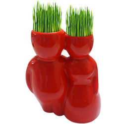 Adorable Mini Hair Man Plant Set Adorable Mini Hair Man Plant Set
