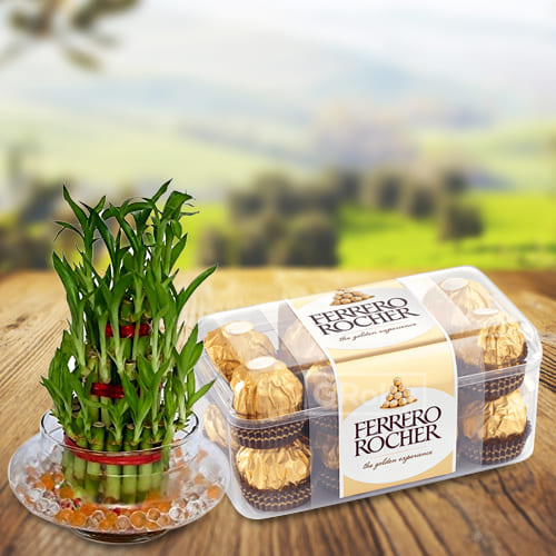 Amazing 2 Tier Bamboo Plant with Ferrero Rocher Chocolates