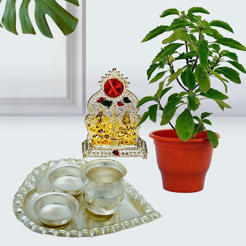 Evergreen Tulsi Plant with Ganesh Laxmi Mandap N Puja Thali Evergreen Tulsi Plant with Ganesh Laxmi Mandap N Puja Thali