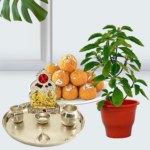 Classic Holy Basil Plant Pot with Festive Greetings Classic Holy Basil Plant Pot with Festive Greetings