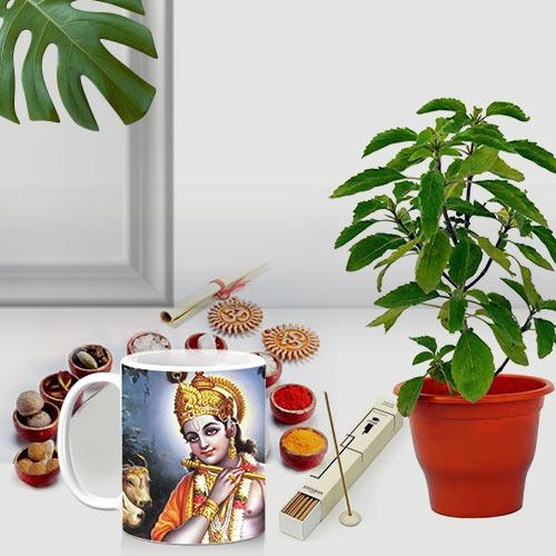 Classic Gift of Holy Tulsi Plant with Puja Gift Items Classic Gift of Holy Tulsi Plant with Puja Gift Items