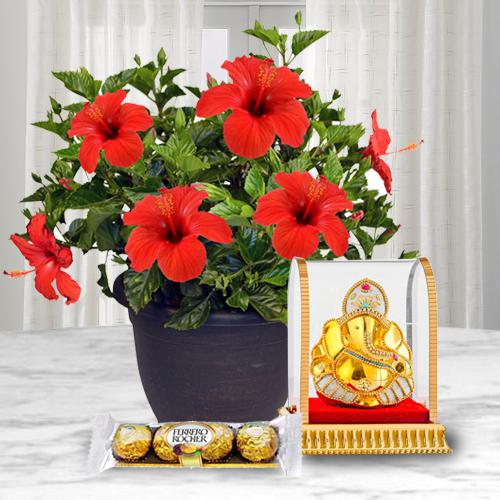 Good Luck Hibiscus Plant with Ganesh Idol N Chocolate Good Luck Hibiscus Plant with Ganesh Idol N Chocolate