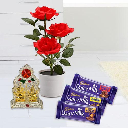 Captivating Potted Red Rose Plant with Chocolates N Mandap Captivating Potted Red Rose Plant with Chocolates N Mandap