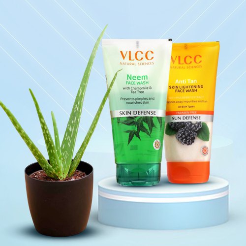 Gift Wrapped Aloe Vera Plant with Face Wash Set Gift Wrapped Aloe Vera Plant with Face Wash Set