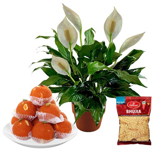 Air Purifying Peace Lily Plant n Enchanting Sweets n Snacks Air Purifying Peace Lily Plant n Enchanting Sweets n Snacks
