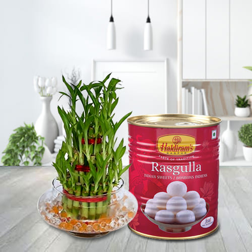 Wonderful 2 Tier Lucky Bamboo Plant with Haldirams Rasgulla