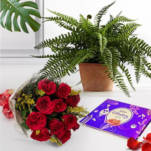 Gorgeous composition of Roses with Bostern Fern N Chocolates