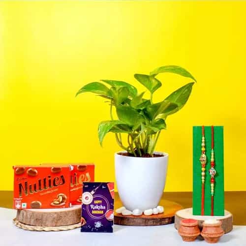 Twin Kundan Rakhis with Plants n Cadbury