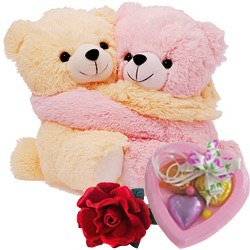 Wonderful Hugging Couple Teddy with Rose and Homemade Chocolates Wonderful Hugging Couple Teddy with Rose and Homemade Chocolates