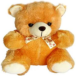 Amazing Teddy Bear Soft Toy