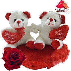 Smart Looking Couple Teddy with Warm Indulgence Smart Looking Couple Teddy with Warm Indulgence
