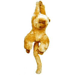 Wonderful Hanging Monkey Wonderful Hanging Monkey