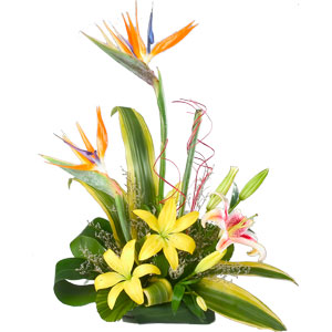 Exotic Flowers Office Arrangement Exotic Flowers Office Arrangement